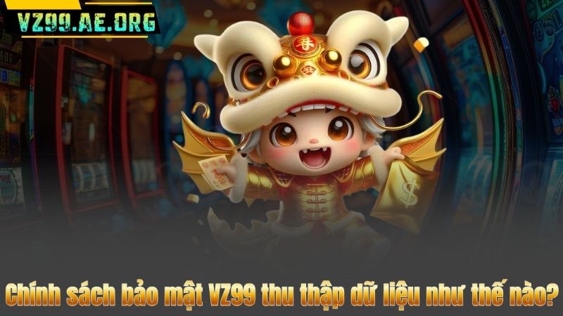 Chính sách bảo mật VZ99 thu thập dữ liệu như thế nào?
