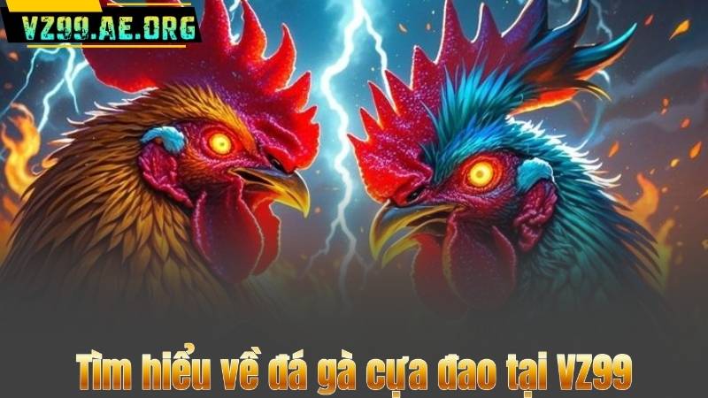 Tìm hiểu về đá gà cựa đao tại VZ99