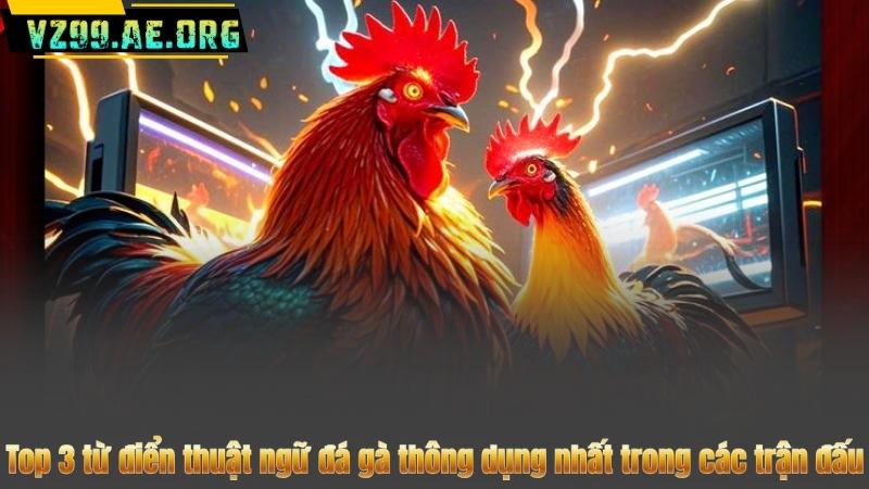 Từ Điển Thuật Ngữ Đá Gà Chi Tiết Nhất 2025 Từ VZ99 9 Từ điển thuật ngữ đá gà trước & sau khi tranh tài