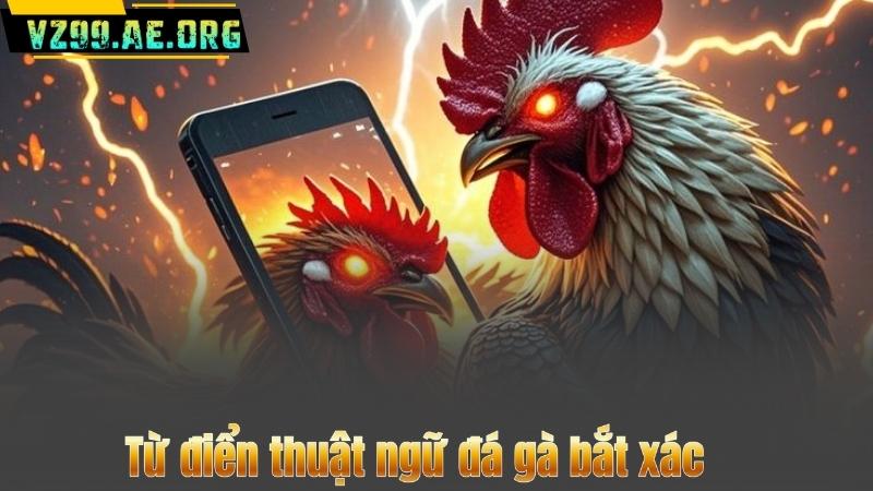 Từ Điển Thuật Ngữ Đá Gà Chi Tiết Nhất 2025 Từ VZ99 10 Từ điển thuật ngữ đá gà bắt xác