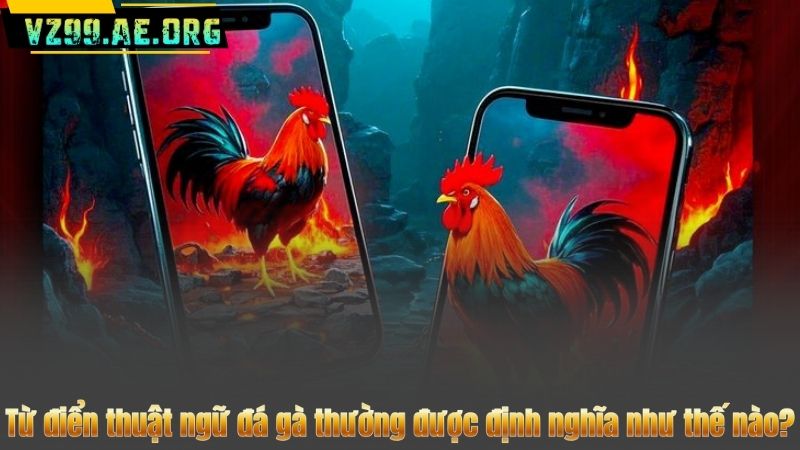 Từ Điển Thuật Ngữ Đá Gà Chi Tiết Nhất 2025 Từ VZ99 7 Từ điển thuật ngữ đá gà thường được định nghĩa như thế nào?